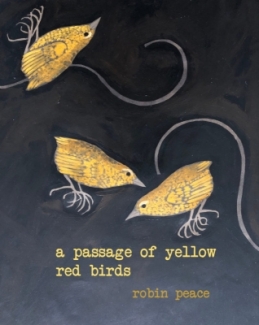 cv_a_passage_of_yellow_red_birds